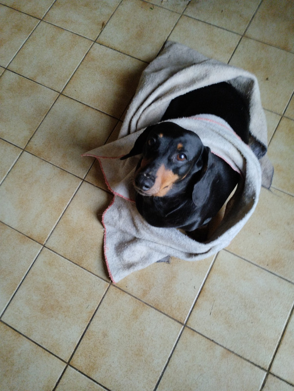 [Image: 1670676772719.jpg]