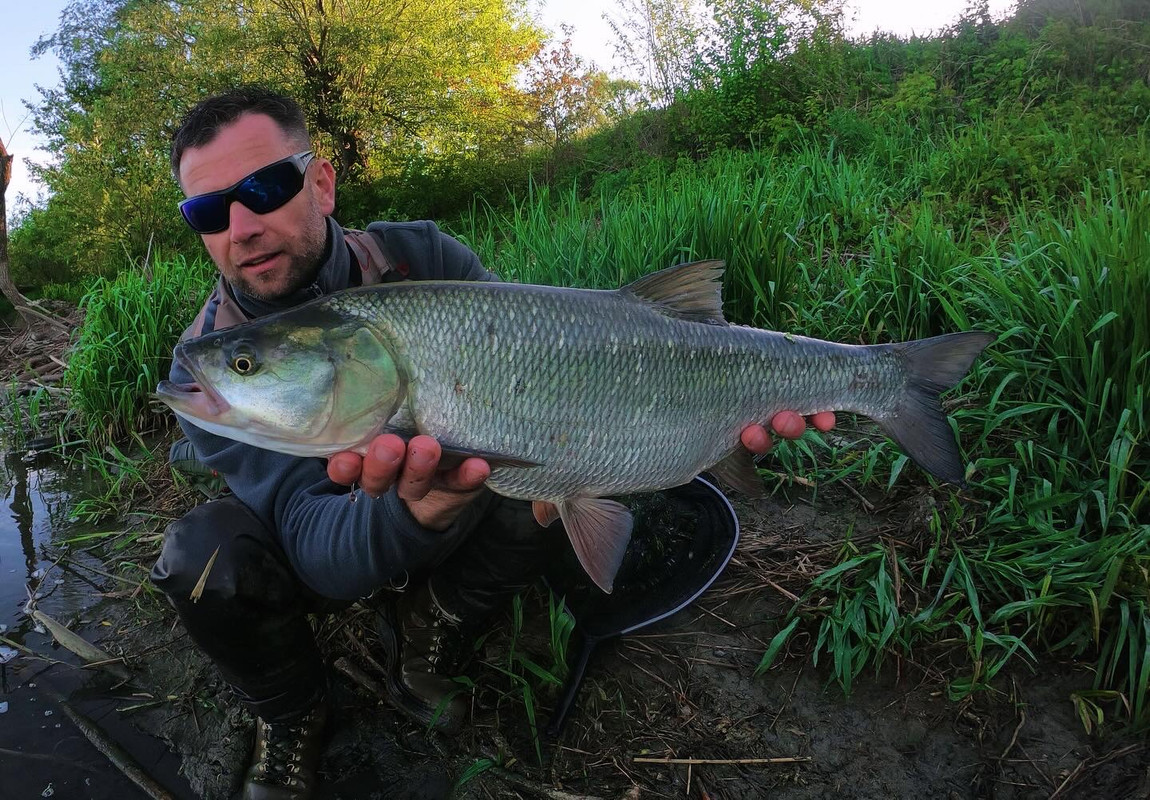 543B631B-F4E2-43B9-B268-F348C45D0EC6