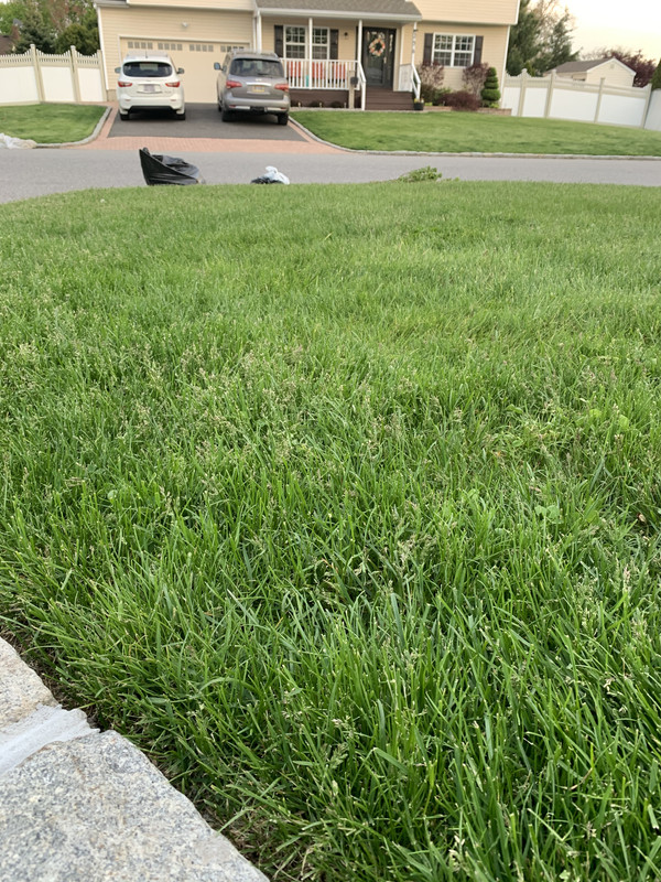 3CB5E075-EBCF-4239-A989-A3A365D354A1