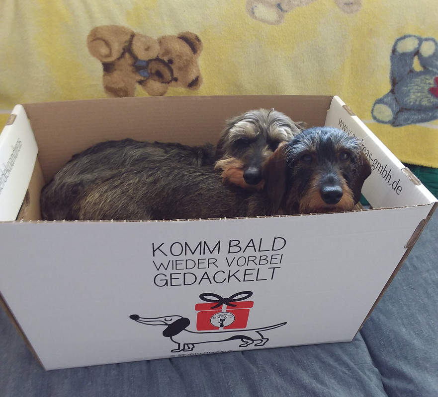 [Image: 20220619-112606.jpg]