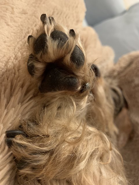 [Image: IMG-7611.jpg]