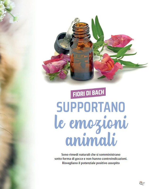 QuattroZampe Lug 2022 (2)