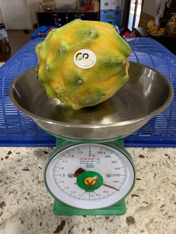 10264B33-EDA9-4D24-9720-5701FEDB85AF