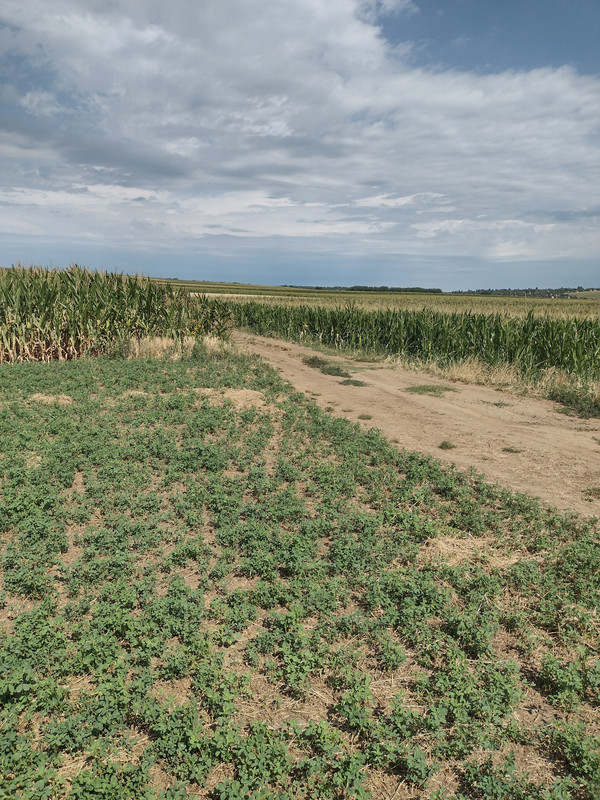 IMG-20250722-095645646-HDR.jpg