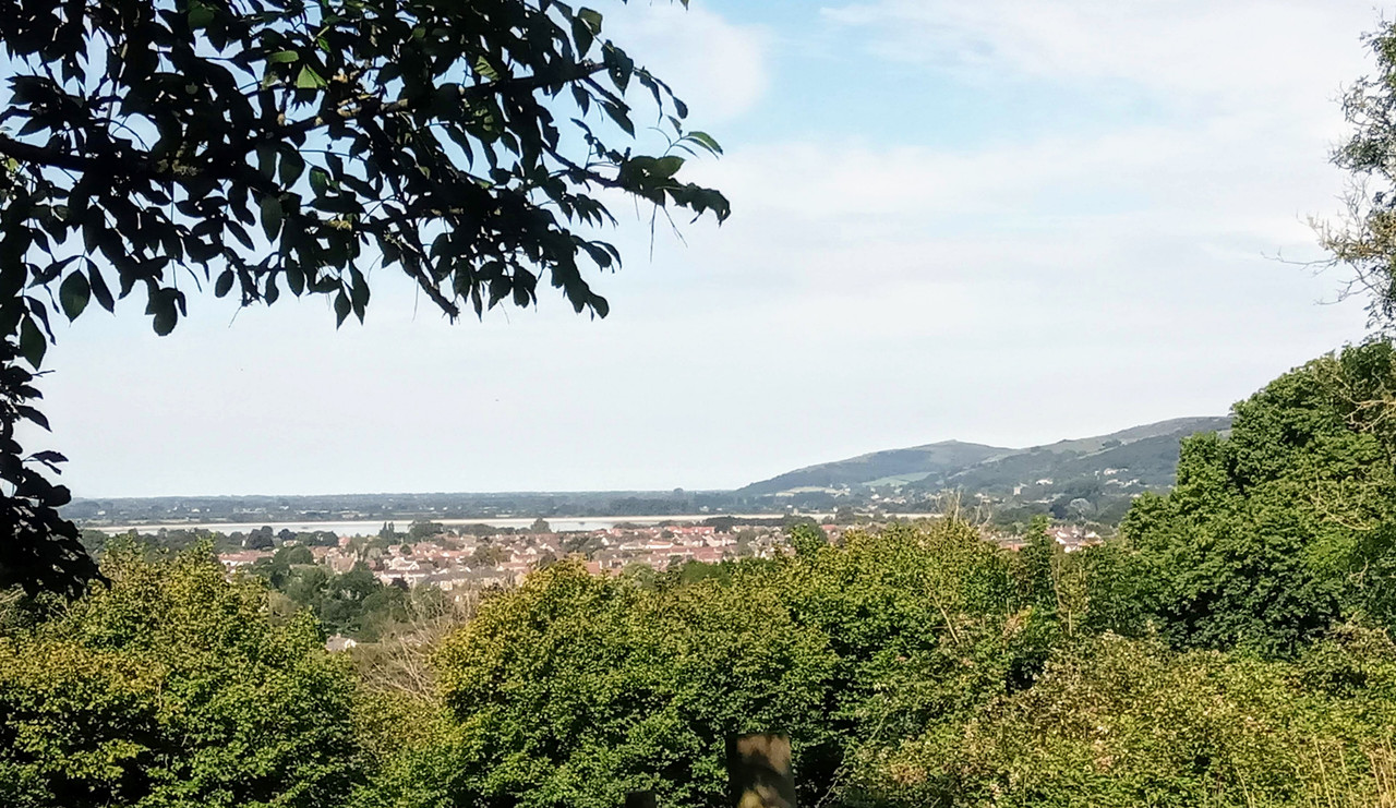 IMG_20200722_095933 (1)