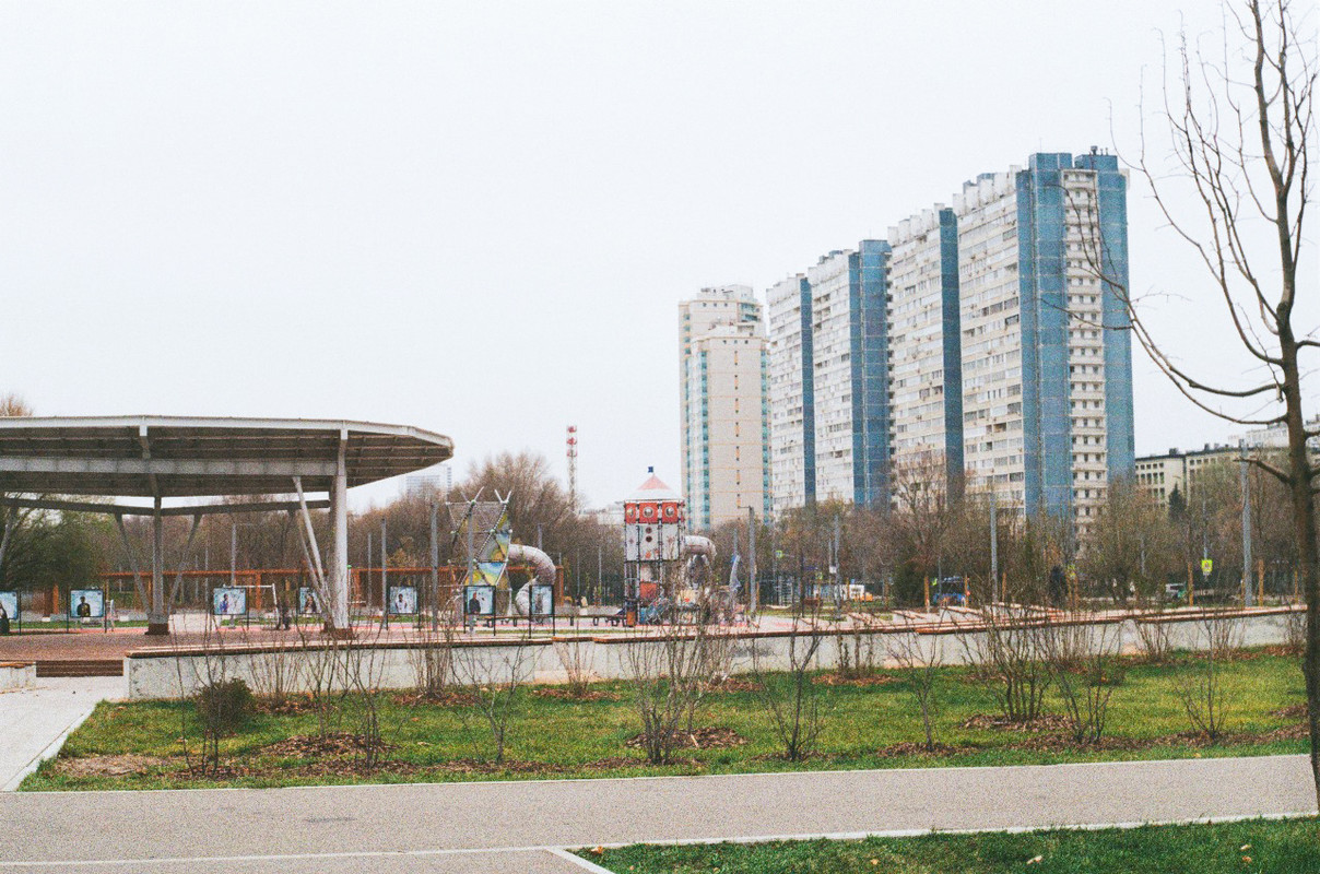 Изображение WhatsApp 2024-11-15 в 21.24.39_bb43d199