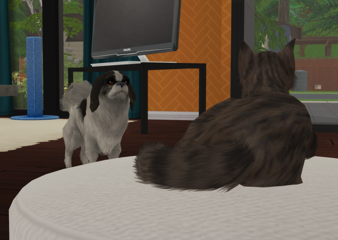 Sims2-EP9-RPC-2022-11-03-22-29-01-82