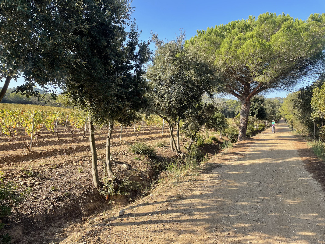 E12899C2-C9C6-44DC-A3CB-745382DAECAB