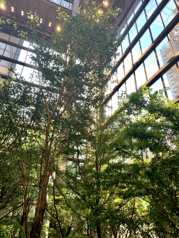 4E5B77EB-F688-4ABE-B7AE-EB6215247CFF