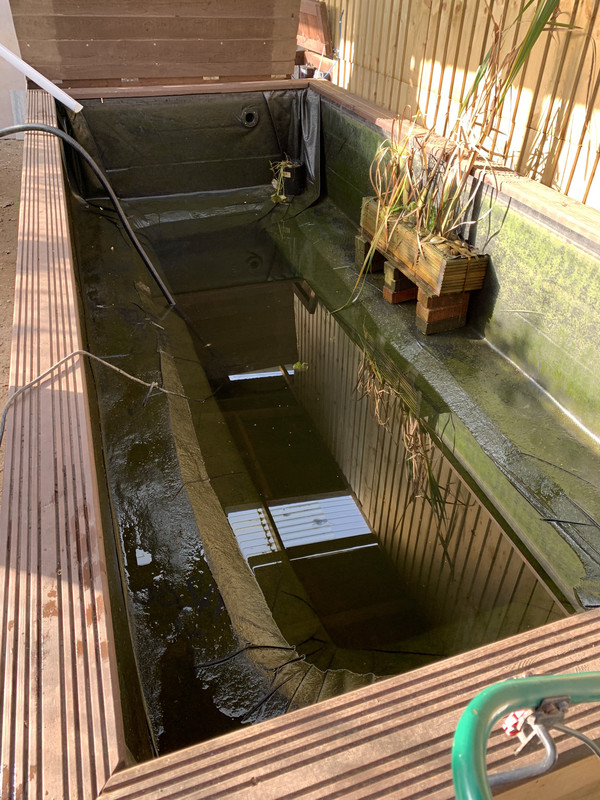 BCE9A828-4ECE-4F09-94DD-9AE556E3D5E9