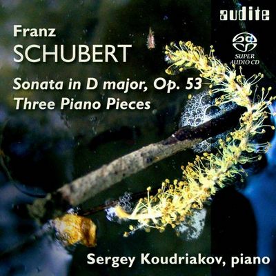 Sergey Koudriakov - Franz Schubert: Sonata in D major, Op.53 / Three Piano Pieces (2008) [Hi-Res SACD Rip]