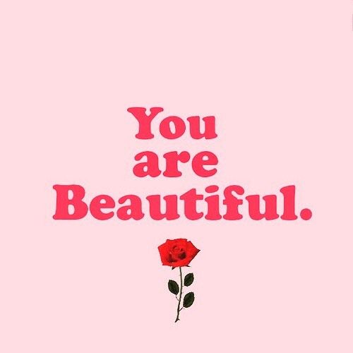 255e1a6933502296e13c8aca49c51fdc