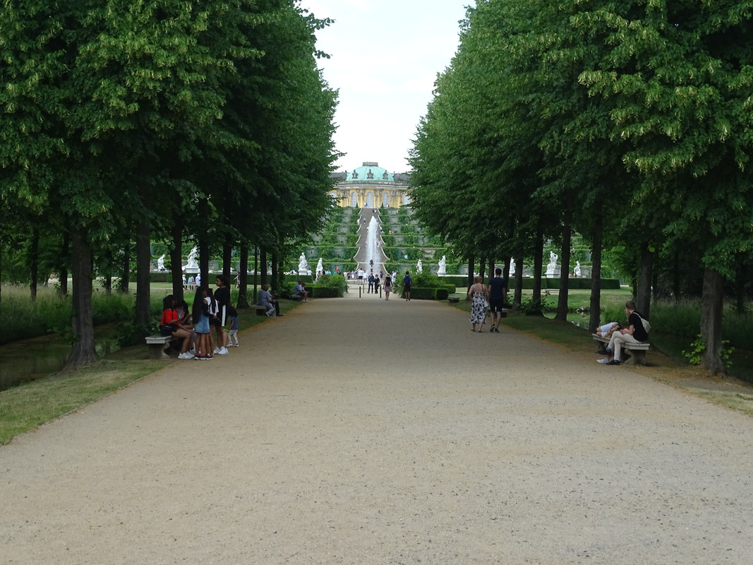 DSC00413.jpg