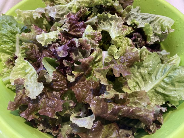 [Image: 7-AEF084-B-7-FD8-4-B8-A-9704-E8-BCE3-AF973-B.jpg]