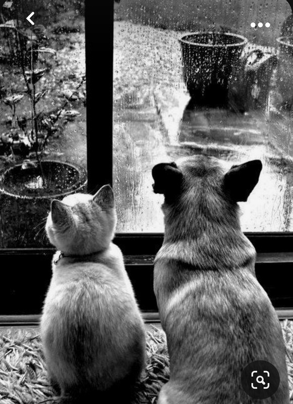 Screenshot_20230928_210108_Pinterest