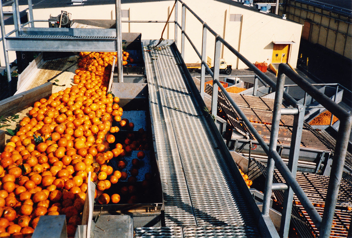 Distribution Conveyor