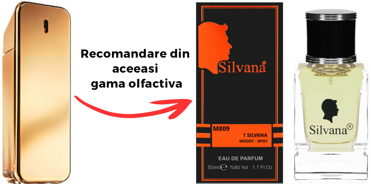 Parfum Silvana 1 SilvanaPaco Rabanne 1 Milion Men
