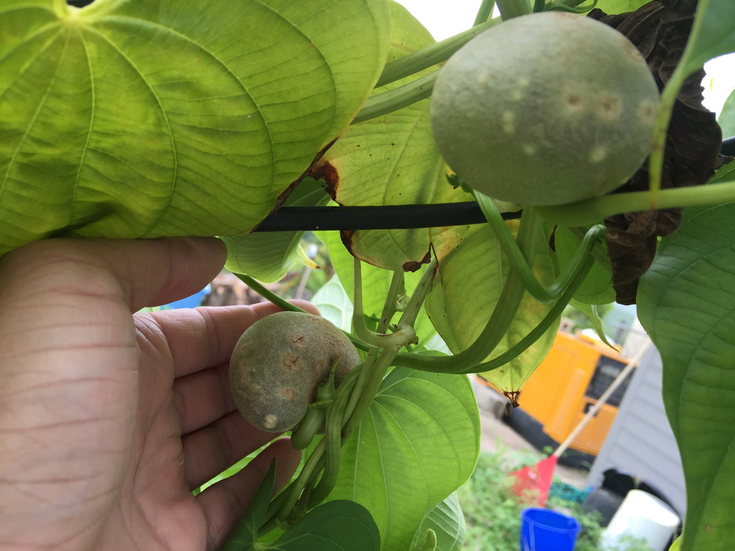 59A382E4-F570-4049-AB38-F64BC20CBAAE