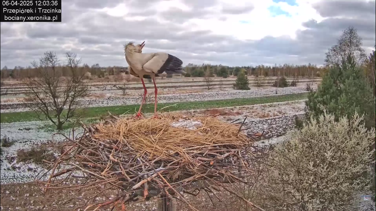 06042025minutazbocianem_8