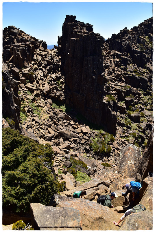 Cradle Mountain National Park - Australia (II): Recorriendo Tasmania (23)