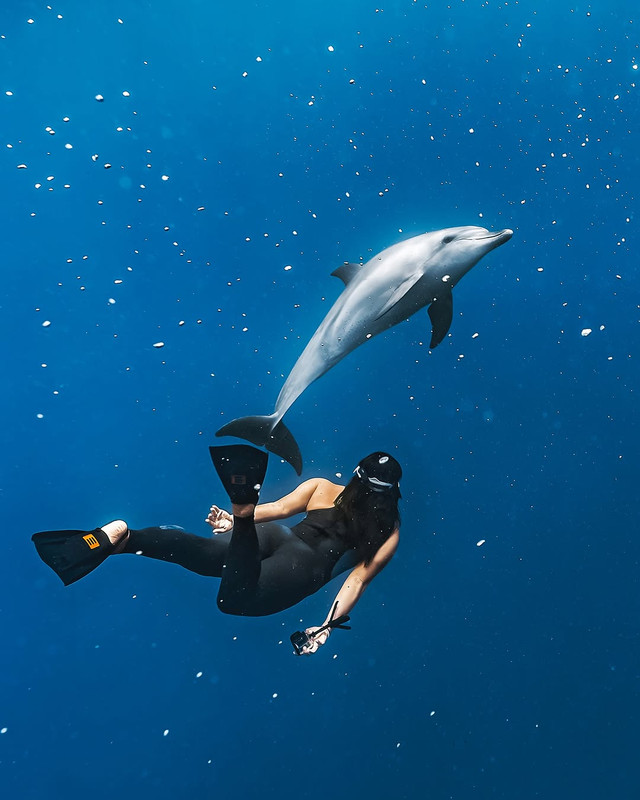 484942656 18486964177034807 4193305088557570171 n