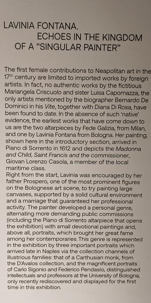Roma y Nápoles: Bernini, Giorgione y mucho más. - Blogs de Italia - Nápoles: Museo de Capodimonte y Galerías de Italia. (263)