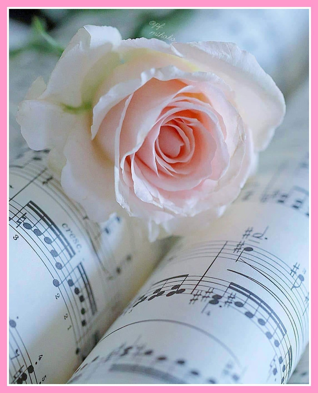 67773168_478635829596083_7430042445666058240_n