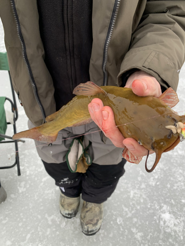 D4CDDF74-5B1E-4516-ADDC-5630DDA49D1C