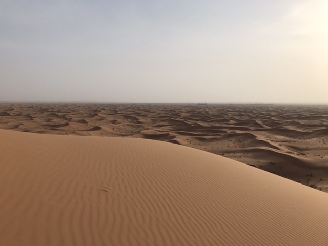 C5416BAC-4669-4C07-A932-B07922674ABE