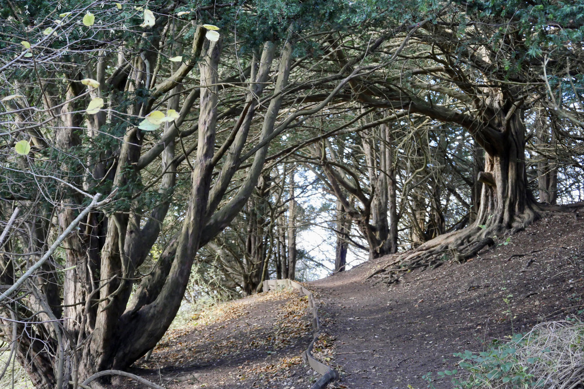 AAD2ABC8-3187-4595-92BB-D1CFDF950A00