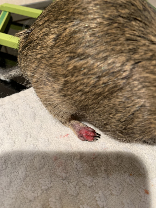 ED397EF0-ADD3-4914-BF8E-DE590B935513