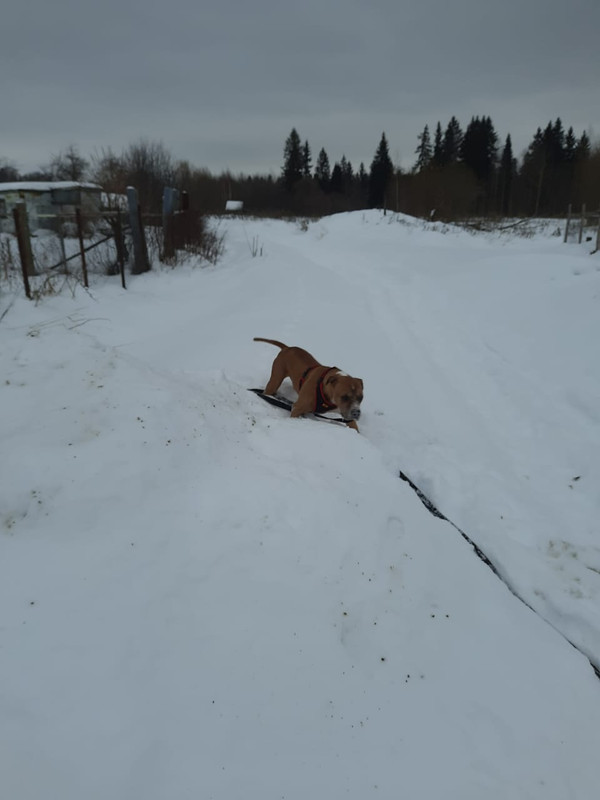 F095F697-7743-4465-BF7E-10C9F2C3D9EF