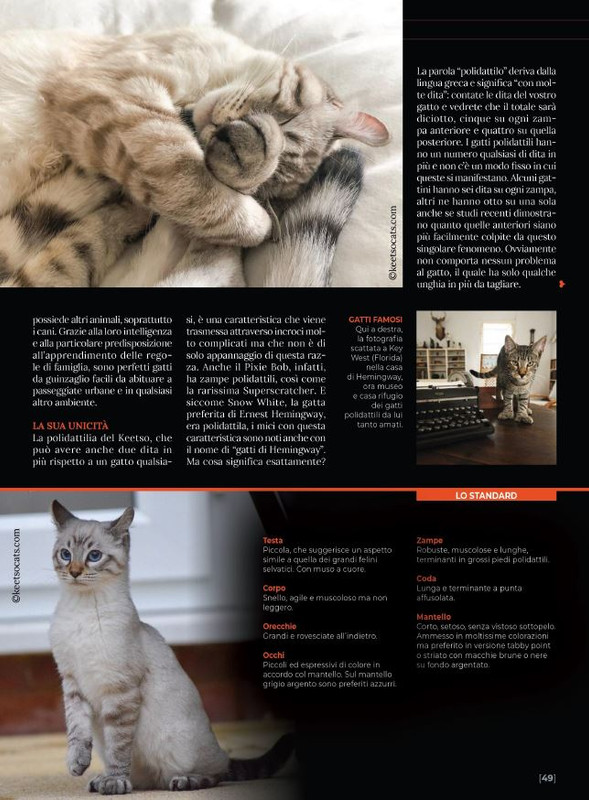 Ga Ma Ago-Set 2023 (8)