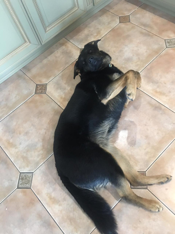 изображение_viber_2022-04-05_12-48-57-397