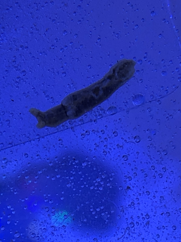 23AC867A-7A25-4CCF-BACB-2CC83D974792