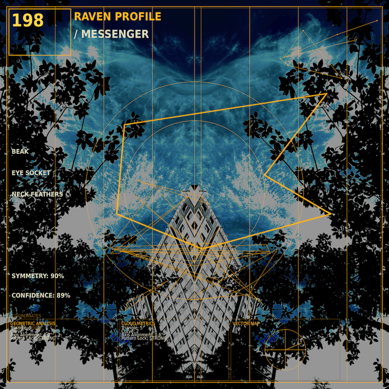 Raven profile
