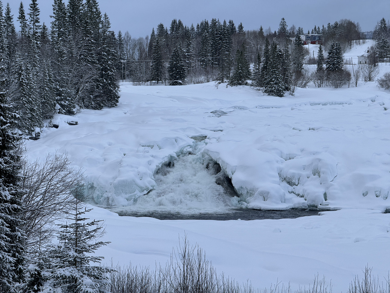 [Immagine: IMG-9193.jpg]