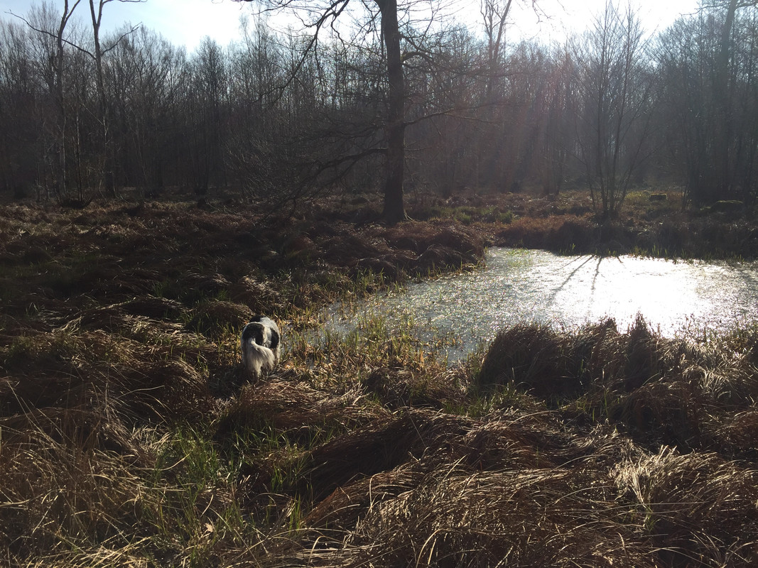 02C4E18A-0D49-469C-9296-AA49F511A7DF