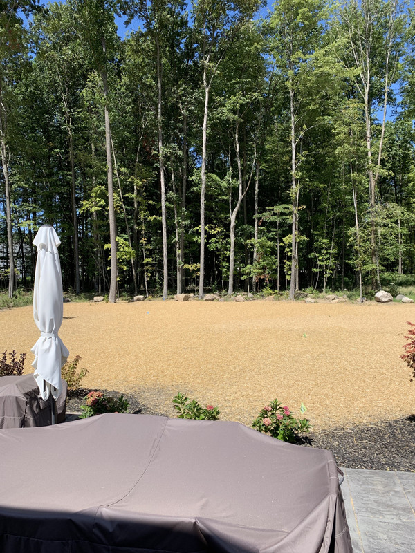 iu3GXg3gTGif TLCKtKWyw