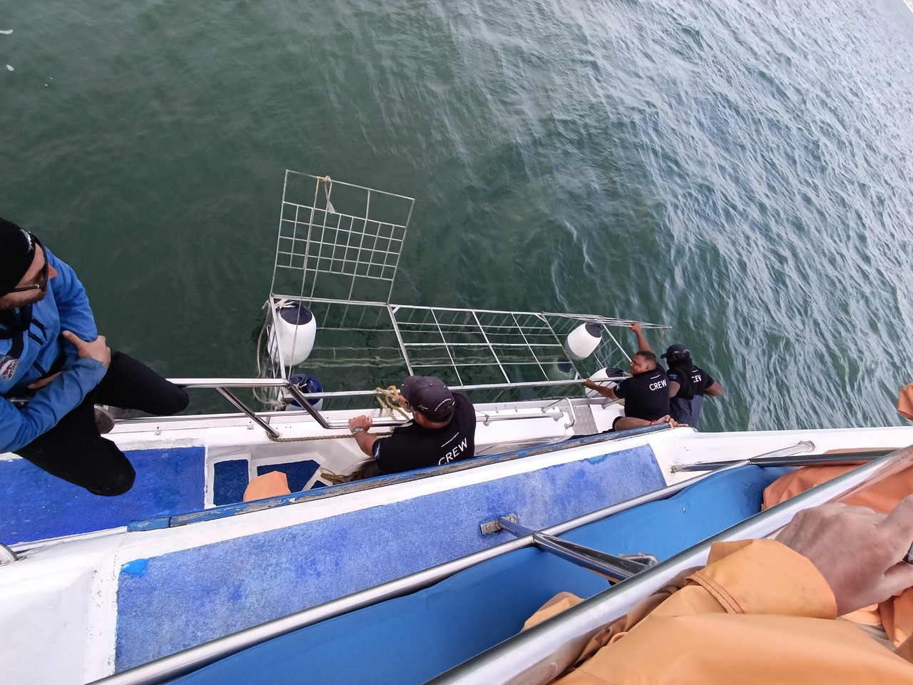 Такая близкая Африка. (ЮАР. 22 дня и 4200 км. Ноябрь-Декабрь)