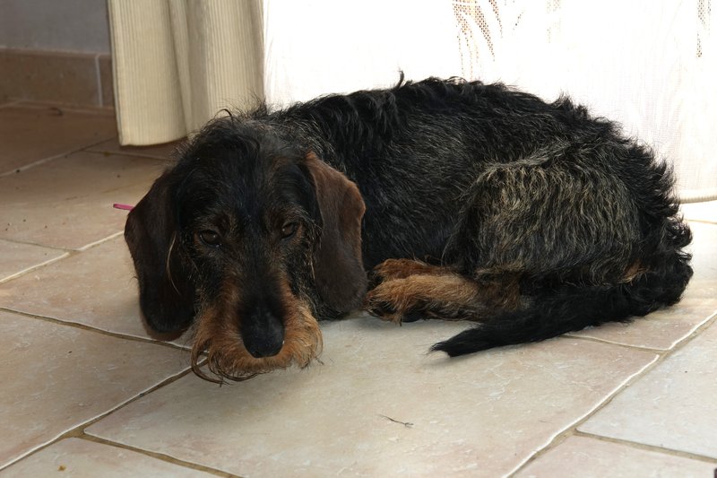 [Image: DSC00814.jpg]