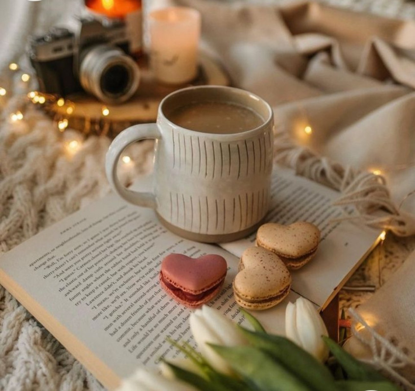 Screenshot_20221214-000959_Chrome