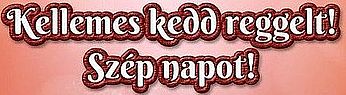 https://i.postimg.cc/hPt0hHh1/kellemes-kedd-reggelt-szepnapot.jpg