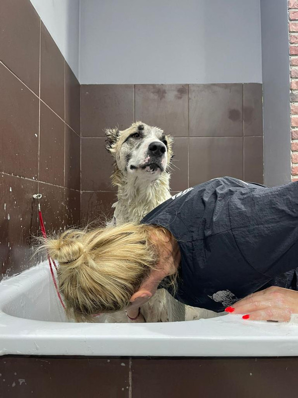 264160F9-EECE-4D60-99FF-0FFDBF6CC141