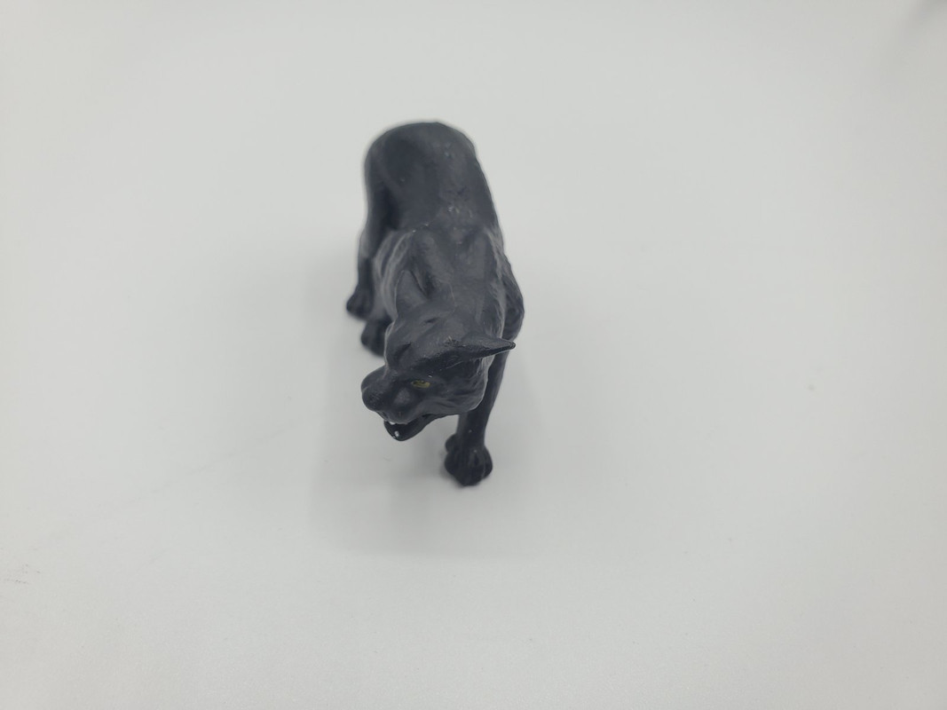 Pocket Explorers Panther Figure Walkaround 20220130-145053