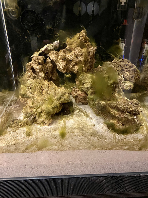 18530631-40D8-4943-895C-3DFF40DE60A2