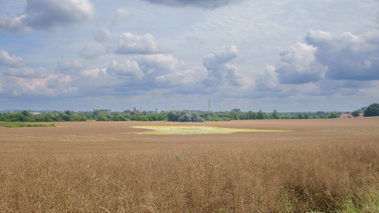 DSC02163.jpg