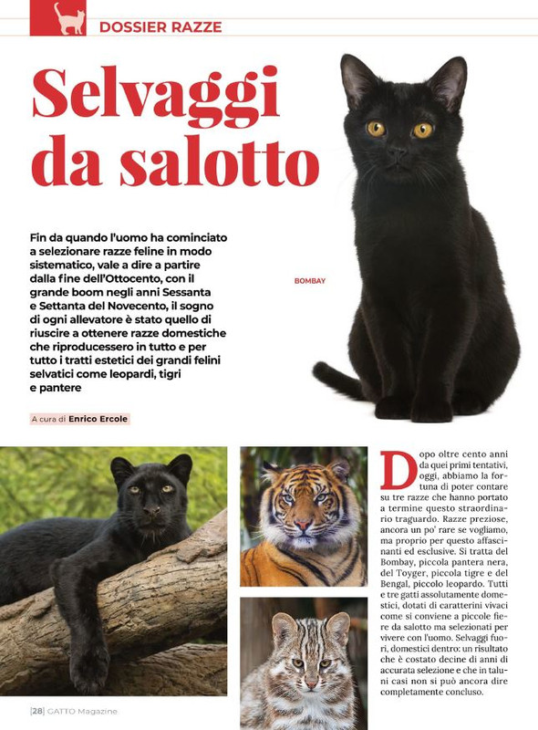 Ga Ma Ott-Nov 2022 (5)