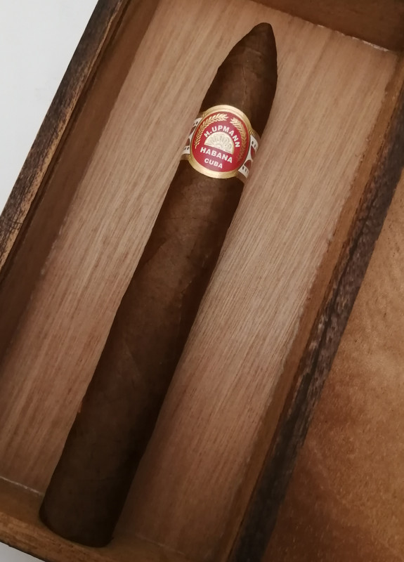 IMG_20230330_214435[1]