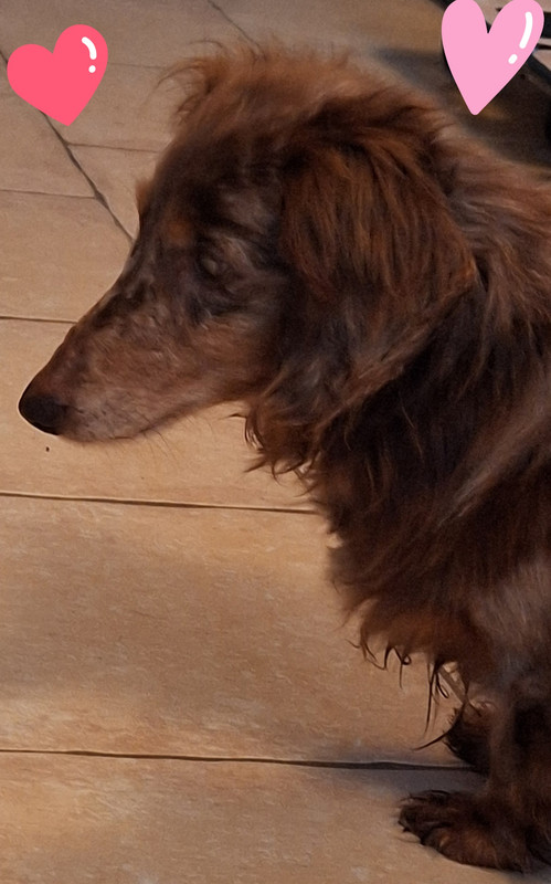 [Image: 20240328-100432.jpg]